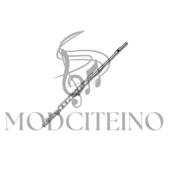 Flute: Digital Flute in Nebraska