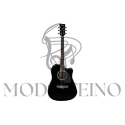 Guitar: Digital Guitar in Nebraska